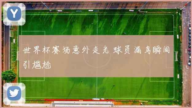 世界杯赛场意外走光 球员漏鸟瞬间引尴尬