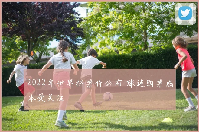 2022年世界杯票价公布 球迷购票成本受关注