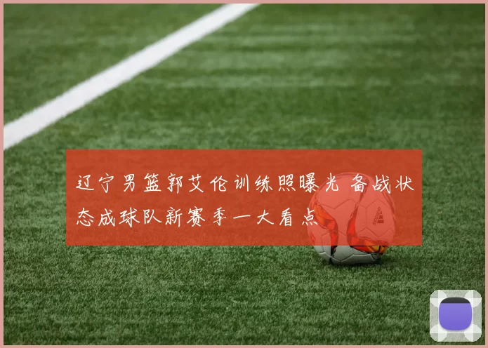 辽宁男篮郭艾伦训练照曝光 备战状态成球队新赛季一大看点