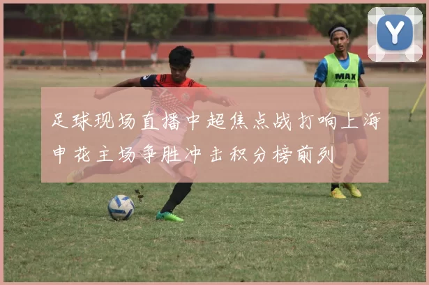 足球现场直播中超焦点战打响上海申花主场争胜冲击积分榜前列
